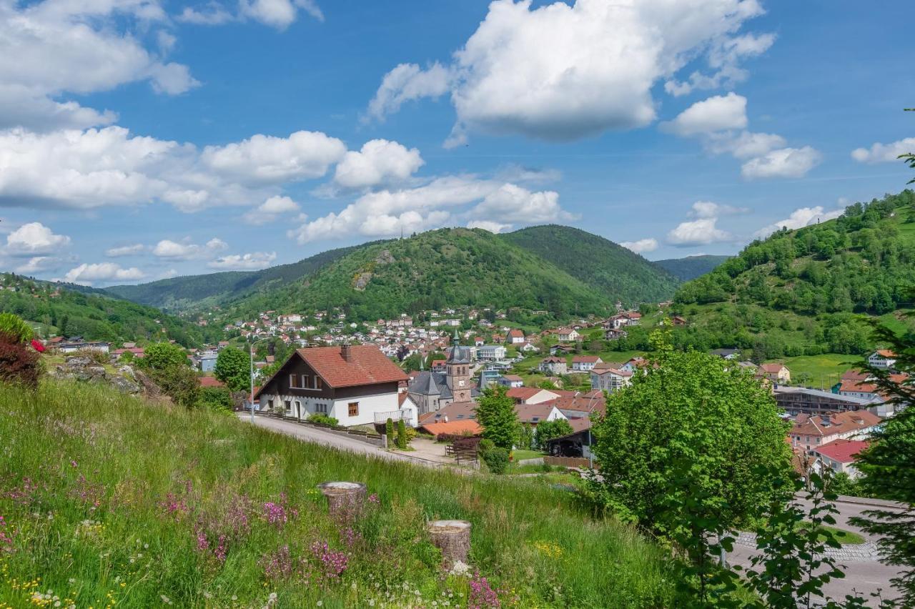 Apartmán Le Planois La Bresse Exteriér fotografie